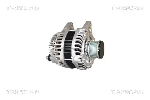 Generator 14 V TRISCAN 8310 14004 Bild Generator 14 V TRISCAN 8310 14004