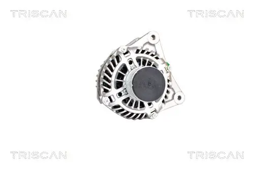 Generator 14 V TRISCAN 8310 14004 Bild Generator 14 V TRISCAN 8310 14004