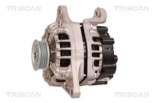 Generator 12 V TRISCAN 8310 14006 Bild Generator 12 V TRISCAN 8310 14006