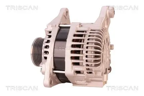 Generator 14 V TRISCAN 8310 14008 Bild Generator 14 V TRISCAN 8310 14008