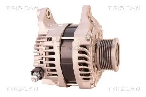 Generator 14 V TRISCAN 8310 14008 Bild Generator 14 V TRISCAN 8310 14008