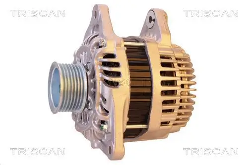 Generator 14 V TRISCAN 8310 14009 Bild Generator 14 V TRISCAN 8310 14009