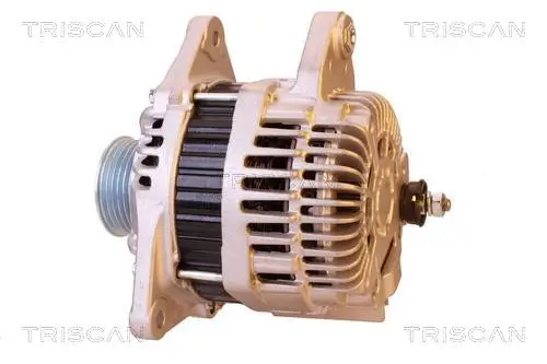 Generator 14 V TRISCAN 8310 14009 Bild Generator 14 V TRISCAN 8310 14009