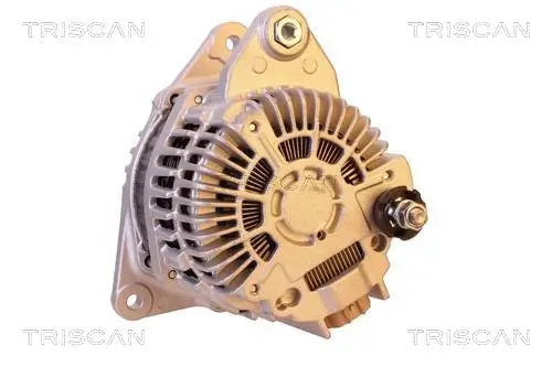 Generator 14 V TRISCAN 8310 14009 Bild Generator 14 V TRISCAN 8310 14009