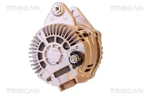 Generator 14 V TRISCAN 8310 14009 Bild Generator 14 V TRISCAN 8310 14009