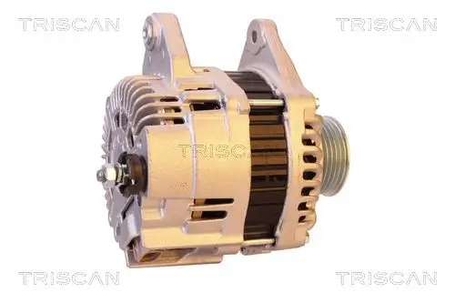 Generator 14 V TRISCAN 8310 14009 Bild Generator 14 V TRISCAN 8310 14009