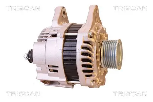 Generator 14 V TRISCAN 8310 14009 Bild Generator 14 V TRISCAN 8310 14009