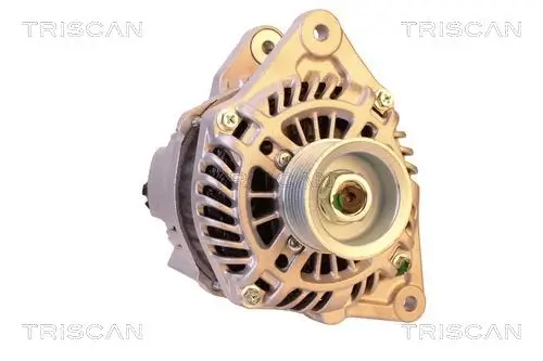 Generator 14 V TRISCAN 8310 14009 Bild Generator 14 V TRISCAN 8310 14009