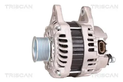 Generator 14 V TRISCAN 8310 14010 Bild Generator 14 V TRISCAN 8310 14010