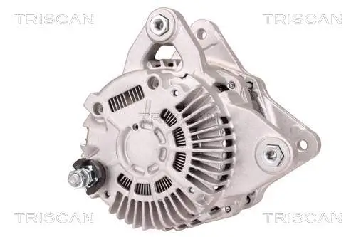 Generator 14 V TRISCAN 8310 14010 Bild Generator 14 V TRISCAN 8310 14010