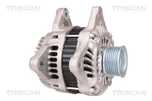 Generator 14 V TRISCAN 8310 14010 Bild Generator 14 V TRISCAN 8310 14010