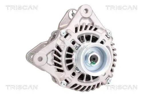 Generator 14 V TRISCAN 8310 14010 Bild Generator 14 V TRISCAN 8310 14010
