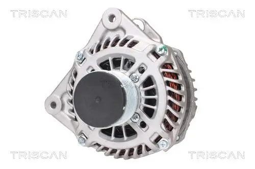 Generator 14 V TRISCAN 8310 14011
