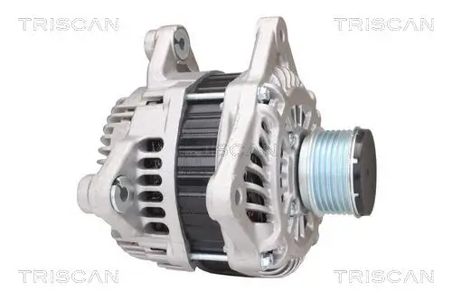 Generator 14 V TRISCAN 8310 14011 Bild Generator 14 V TRISCAN 8310 14011