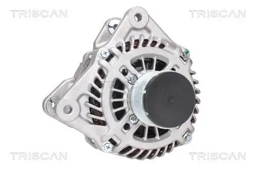Generator 14 V TRISCAN 8310 14011 Bild Generator 14 V TRISCAN 8310 14011