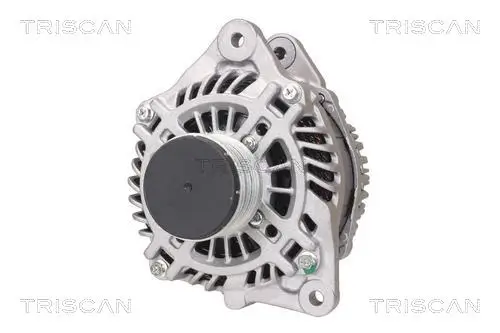 Generator 14 V TRISCAN 8310 14012