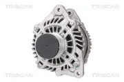 Generator 14 V TRISCAN 8310 14012