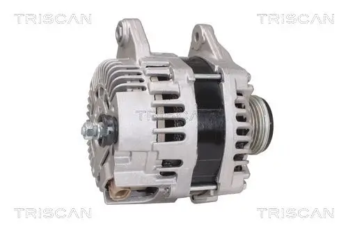 Generator 14 V TRISCAN 8310 14012 Bild Generator 14 V TRISCAN 8310 14012