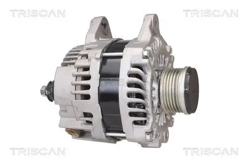 Generator 14 V TRISCAN 8310 14012 Bild Generator 14 V TRISCAN 8310 14012