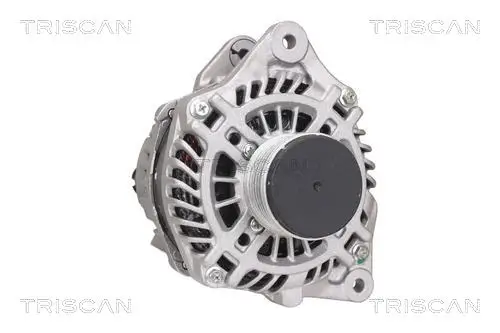 Generator 14 V TRISCAN 8310 14012 Bild Generator 14 V TRISCAN 8310 14012