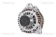 Generator 14 V TRISCAN 8310 14013