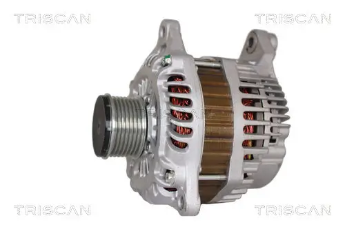 Generator 14 V TRISCAN 8310 14013 Bild Generator 14 V TRISCAN 8310 14013