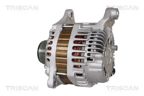 Generator 14 V TRISCAN 8310 14013 Bild Generator 14 V TRISCAN 8310 14013