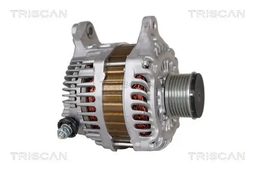 Generator 14 V TRISCAN 8310 14013 Bild Generator 14 V TRISCAN 8310 14013