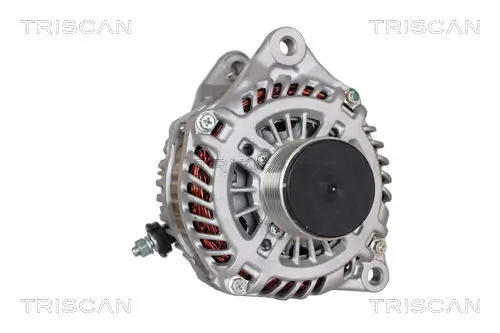 Generator 14 V TRISCAN 8310 14013 Bild Generator 14 V TRISCAN 8310 14013