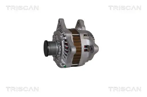 Generator 14 V TRISCAN 8310 14014 Bild Generator 14 V TRISCAN 8310 14014