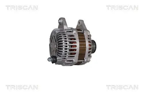 Generator 14 V TRISCAN 8310 14014 Bild Generator 14 V TRISCAN 8310 14014