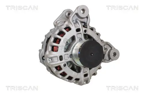 Generator 14 V TRISCAN 8310 14016 Bild Generator 14 V TRISCAN 8310 14016