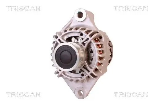 Generator 14 V TRISCAN 8310 15001