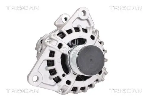 Generator 14 V TRISCAN 8310 15016 Bild Generator 14 V TRISCAN 8310 15016