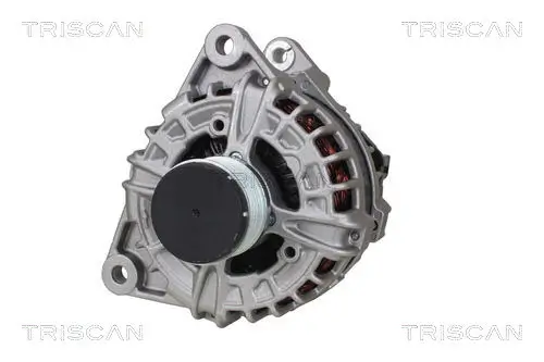 Generator 14 V TRISCAN 8310 15021