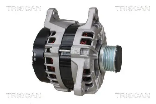 Generator 14 V TRISCAN 8310 15021 Bild Generator 14 V TRISCAN 8310 15021