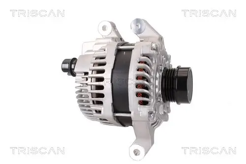 Generator 12 V TRISCAN 8310 16001 Bild Generator 12 V TRISCAN 8310 16001