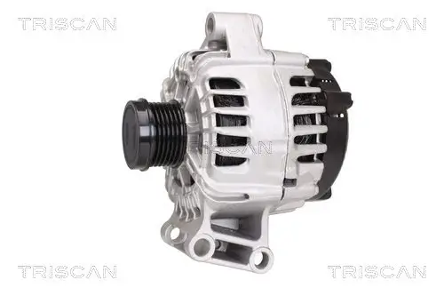 Generator 14 V TRISCAN 8310 16002 Bild Generator 14 V TRISCAN 8310 16002