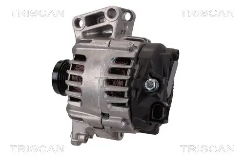 Generator 14 V TRISCAN 8310 16012 Bild Generator 14 V TRISCAN 8310 16012