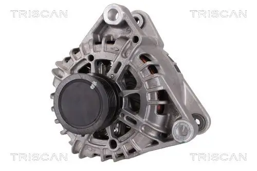 Generator 14 V TRISCAN 8310 16013