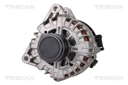 Generator 14 V TRISCAN 8310 16014