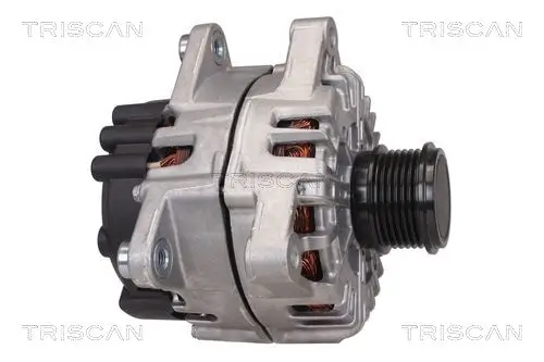 Generator 14 V TRISCAN 8310 16014 Bild Generator 14 V TRISCAN 8310 16014