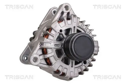 Generator 14 V TRISCAN 8310 16014 Bild Generator 14 V TRISCAN 8310 16014