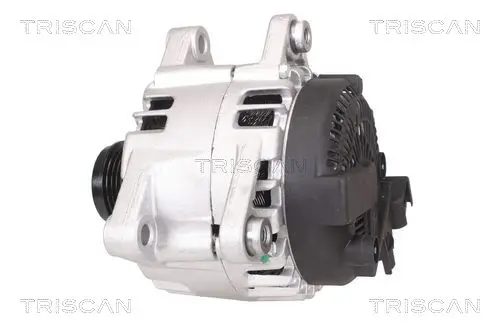 Generator 14 V TRISCAN 8310 16018 Bild Generator 14 V TRISCAN 8310 16018