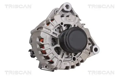 Generator 14 V TRISCAN 8310 16019 Bild Generator 14 V TRISCAN 8310 16019