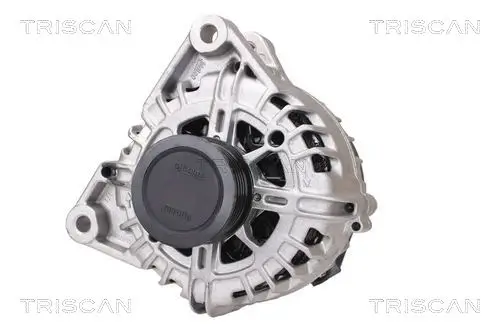 Generator 14 V TRISCAN 8310 16020