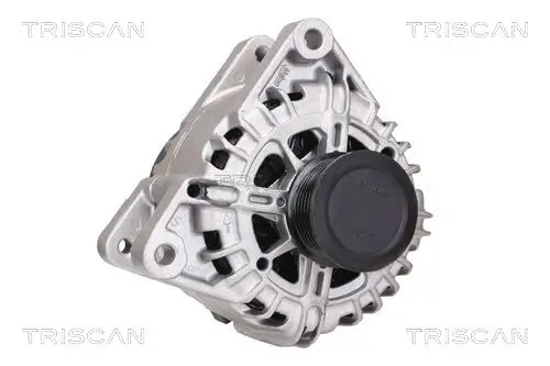 Generator 14 V TRISCAN 8310 16020 Bild Generator 14 V TRISCAN 8310 16020