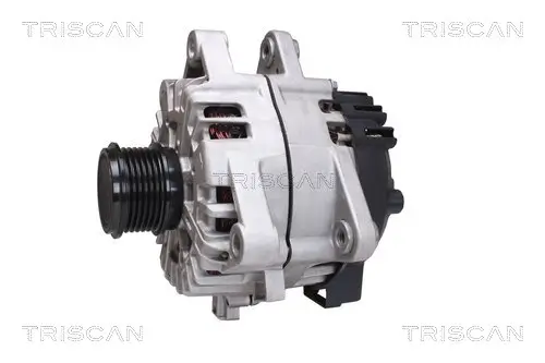 Generator 14 V TRISCAN 8310 16021 Bild Generator 14 V TRISCAN 8310 16021