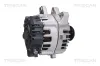 Generator 14 V TRISCAN 8310 16021 Bild Generator 14 V TRISCAN 8310 16021