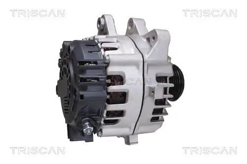 Generator 14 V TRISCAN 8310 16021 Bild Generator 14 V TRISCAN 8310 16021